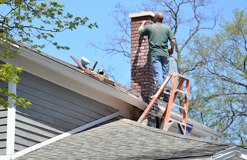 Chimney & Fireplace Inspections Services in Eastpointe, MI